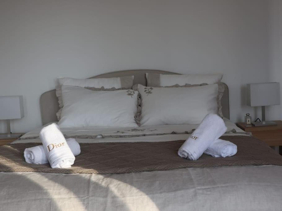 Magnifique Appartement A 5 Min De Paris Et 10 Min De L'Aeroport D'Orly ショワジー・ル・ロワ エクステリア 写真